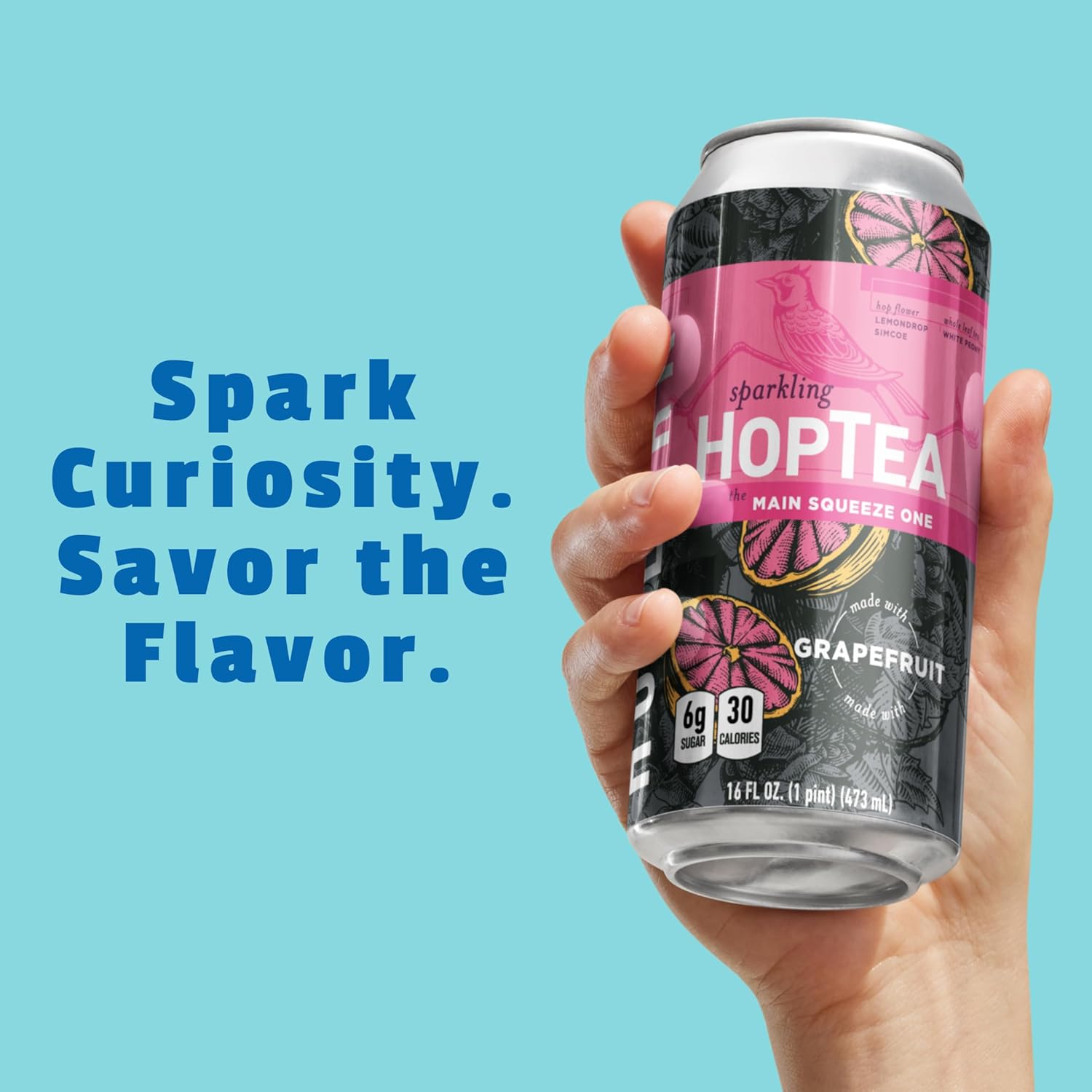 HOPLARK - THE MAIN SQUEEZE ONE (GRAPEFRUIT) - Sparkling Hop Tea - Tall 16Fl Oz Cans (12 pack) - Sparkling Hop Tea- Antioxidants - Polyphenols - Low Caffeine (20mg) - Organic White Tea - Gluten Free - Vegan - Zero Artificial Ingredients