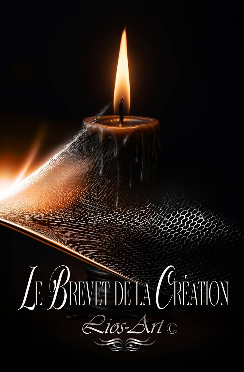 Le Brevet de la Création