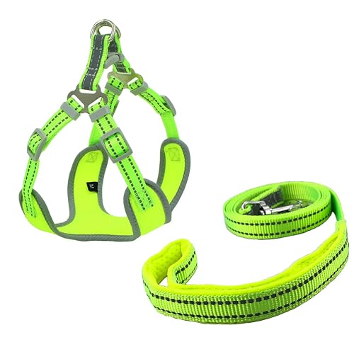Newtensina Arnés de Malla para Perros Arnés para Cachorros Transpirable con Correas Reflectantes de poliéster