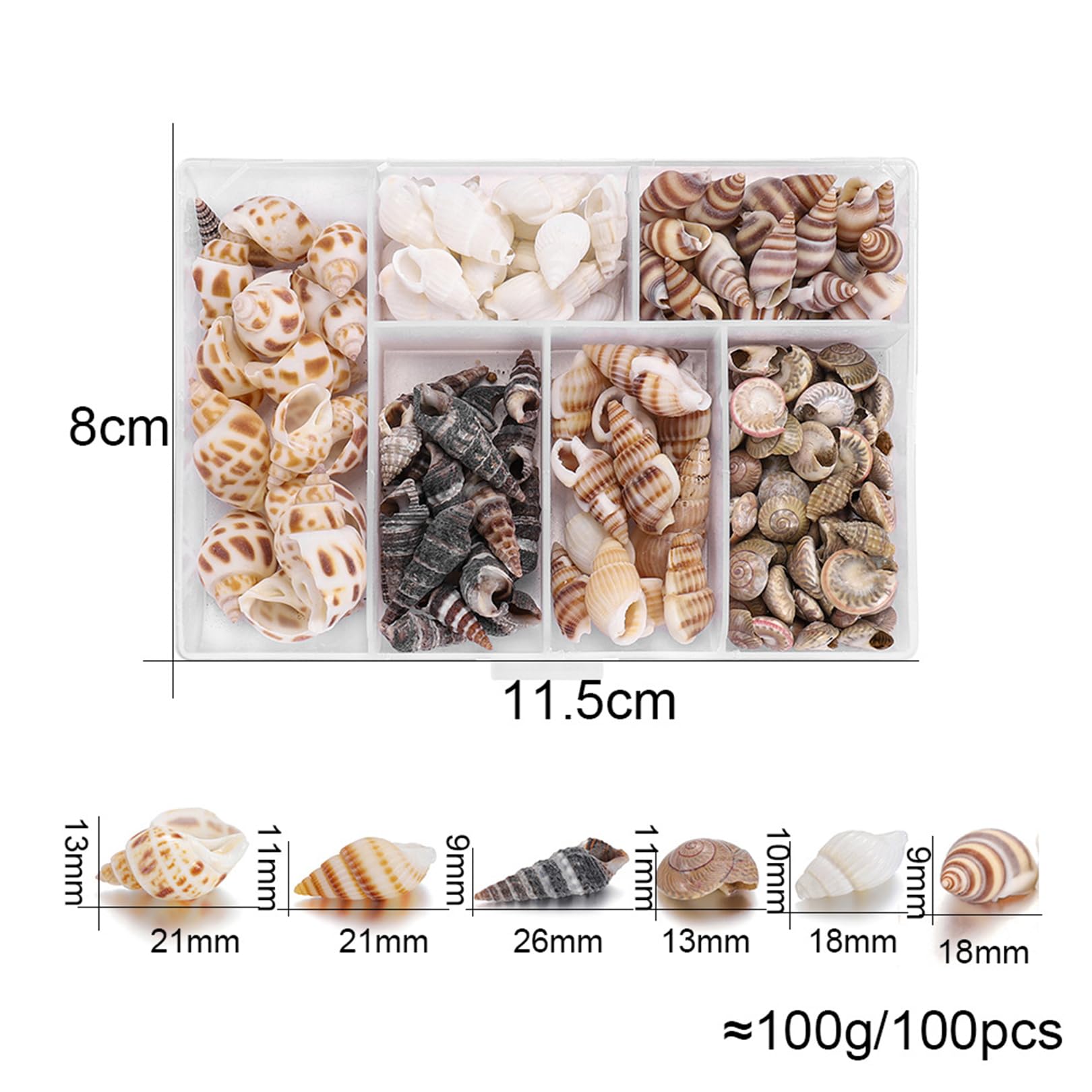 SKOOLOVE 150 Stück Muscheln 2,5-4CM Weiße Kleine Muscheln Zum Basteln, Basteln DIY Malerei Strandung Hochzeit Dekoration, Strand Natürliche Muscheln Bulk (300g