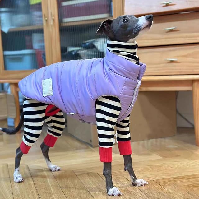 Foto 5 de 6 de UOSIA Ropa de Galgo Italiano suéter cálido de otoño para Whippet Cuello Alto elástico Cachorro Mono clásico…
