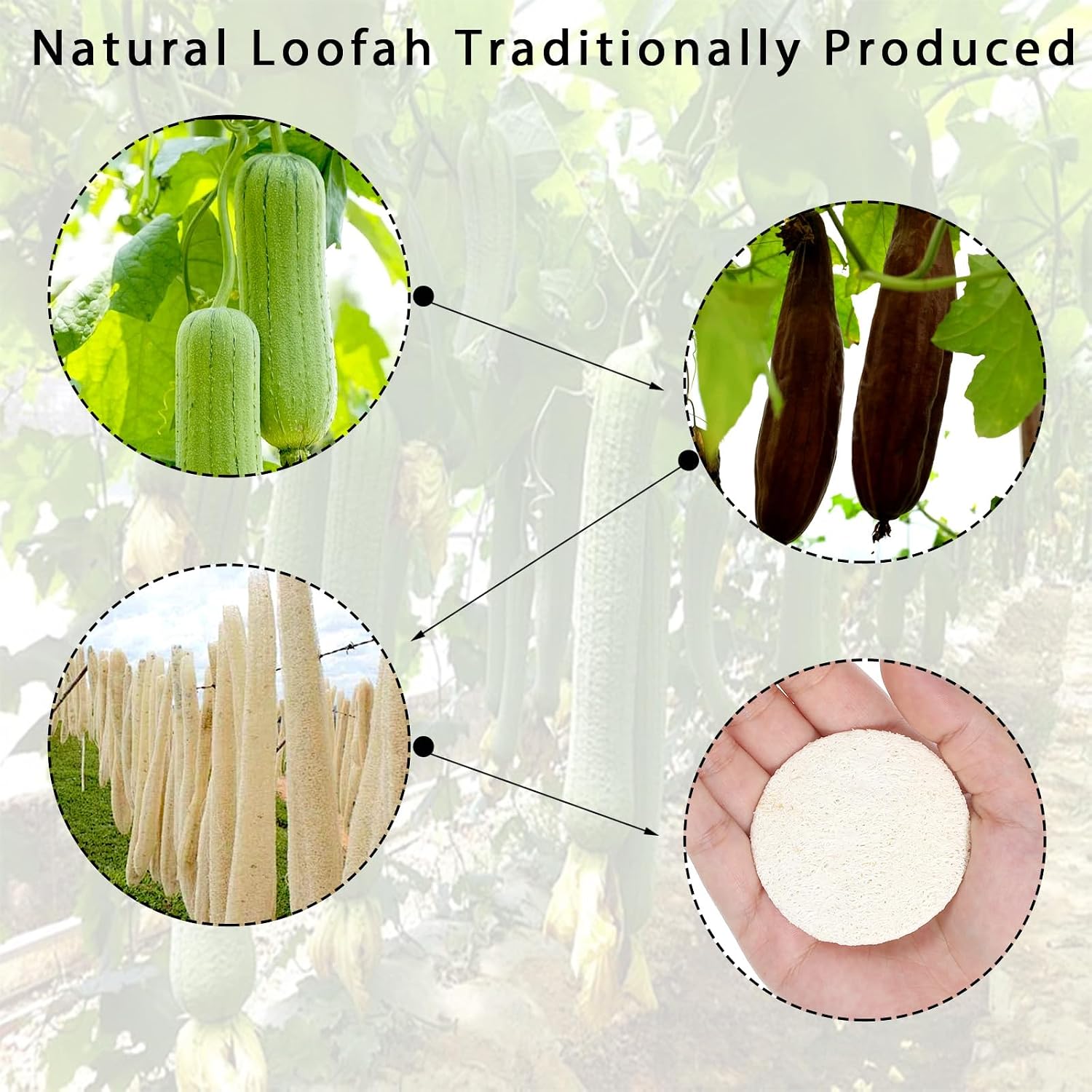20 Pcs Natural Loofah Face Scrub Pads, 2.17 Inch Round Exfoliating Face Pads Loofah Sponge Pad for Women Men Daily Cleansing Makeup Dead Skin Removal