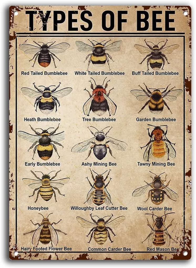 Metal Decor Wall Art Bee Types Vertical Types of Bee Knowledge Bee Lover Honey Bee Lover Vintage Tin Metal Signs Fun Wall Decor Tin Sign Chic Art Wall Metal Funny Plaque Signs Gift for Room 8x12 inch