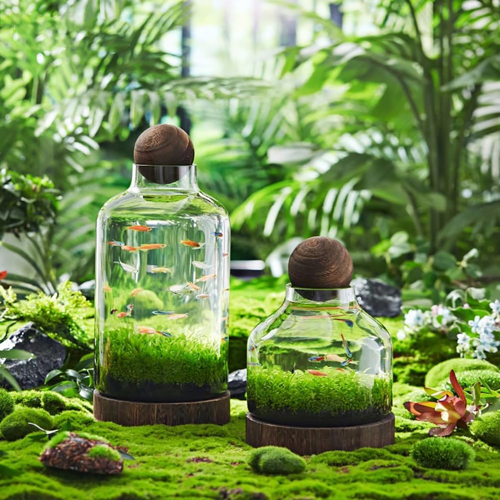 Szklane akwarium, miniaturowe terrarium krajobrazowe szklane akwarium z drewnianą podstawą, nowoczesne akwarium betta, małe akwarium do dekoracji domu i biura,L