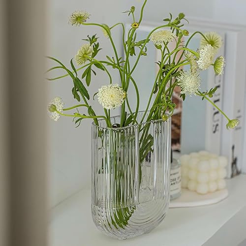 Miniatura 8 de Florero de cristal acanalado transparente, florero pequeño moderno de 7 pulgadas de alto, florero decorativo a rayas en forma de U, apto para