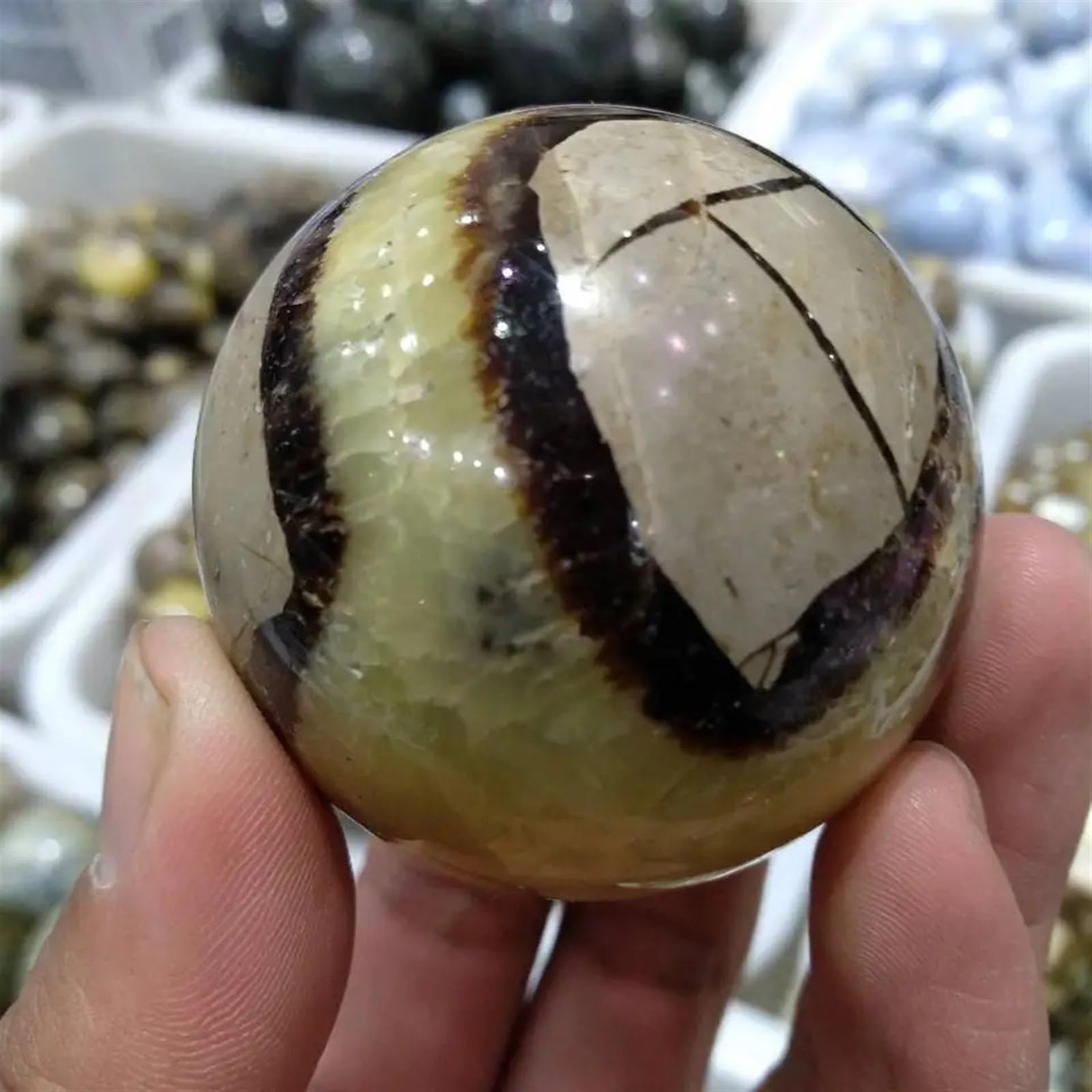 AUOQKQUT 50mm Turtle Stone Polished Crystal Ball Ornaments AUOQKQUT