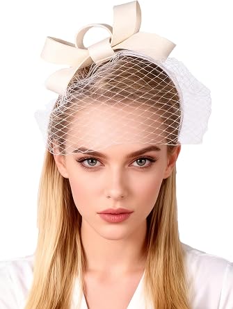 HIMESPORT Wool Felt Fascinators Wedding Hats for Women with Veil Bowknot Tea Party Lady Elegant Church Dress Derby Cap