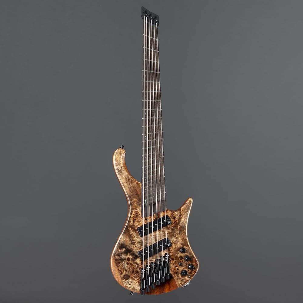 Amazon.co.jp: Ibanez EHB エルゴノミックヘッドレス6弦マルチスケール