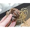 Product Photo 2