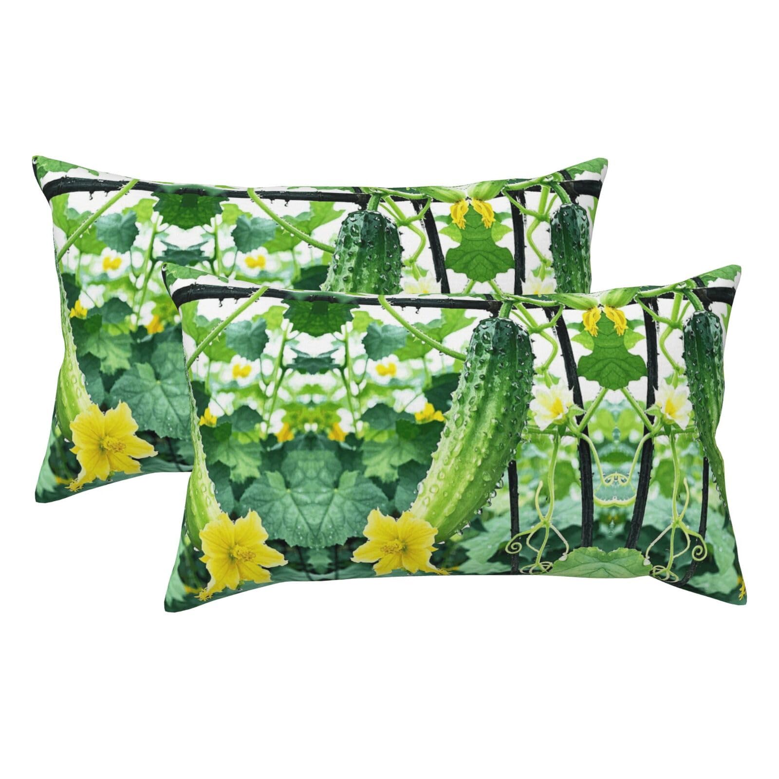 Cucumber Luxury King Pillowcases Set of 2, Plush Velvet Feel Pillow Covers with Hidden Zipper, Skin & Hair Friendly, 20x36 Inches Pillow Cases for Sleeping Gift