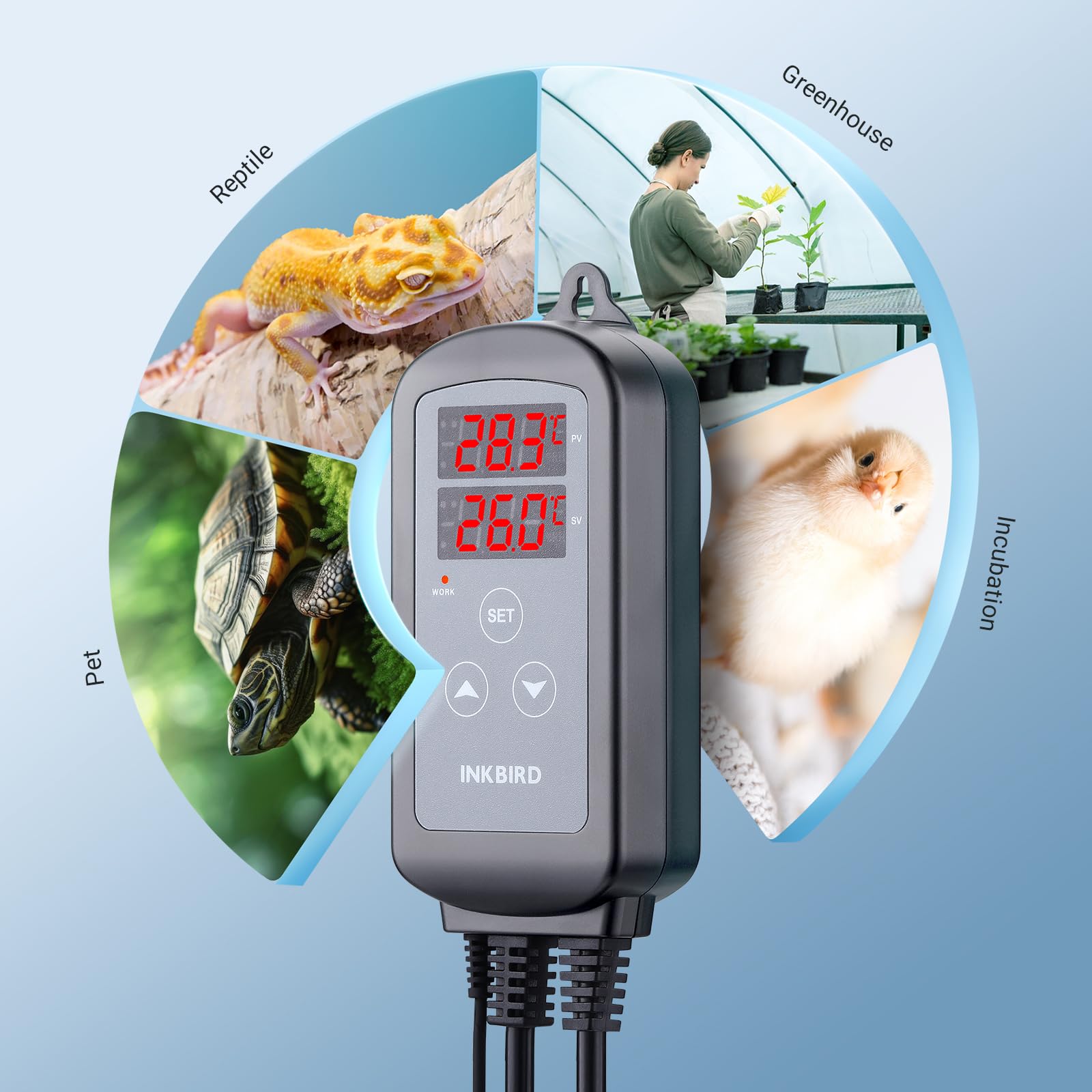 Inkbird ITC-2T Thermostat, Digitaler Temperaturregler mit Zwei Heizsteckdosen, Tag Nacht Zyklus Timer, Alarmfunktion, für Terrarium, Gewächshaus, Reptil