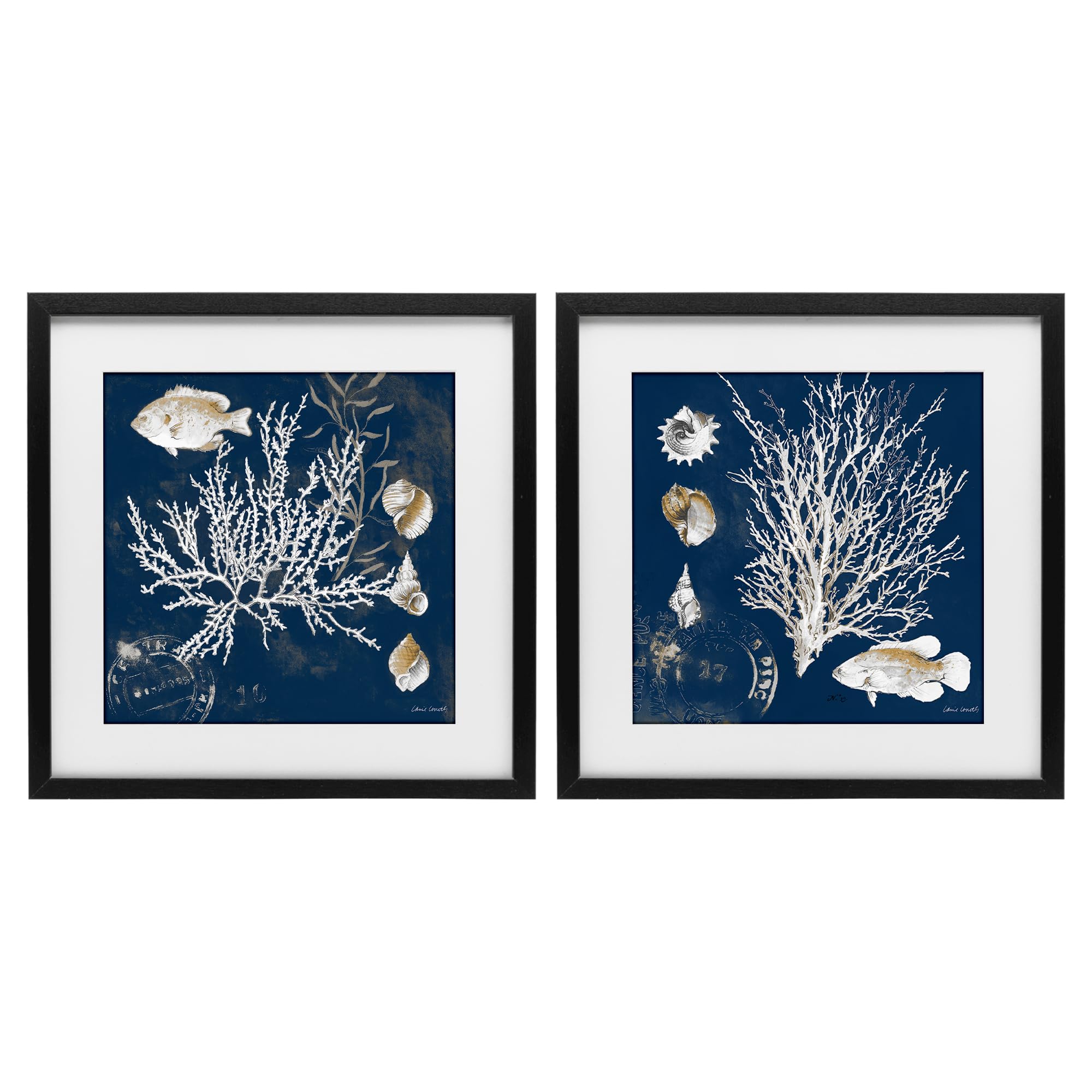 'Navy Coral Medley'| 2pc Framed Print Under Glass Set