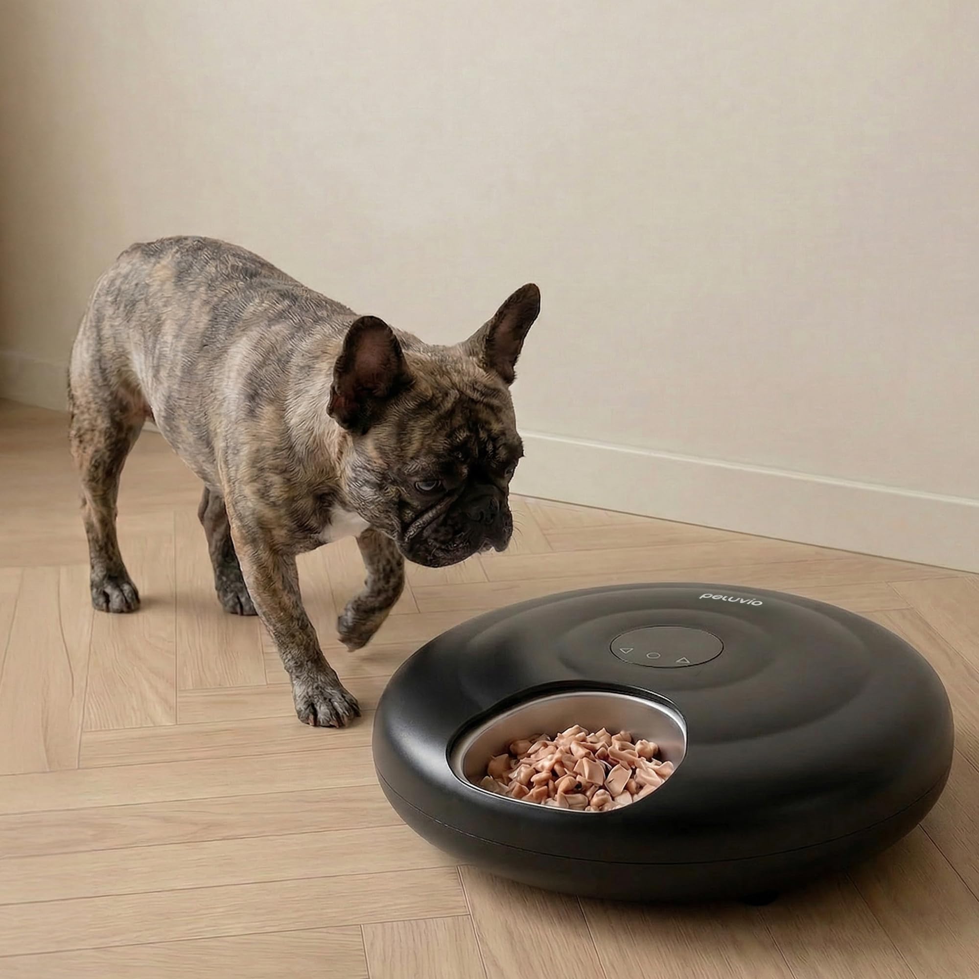 Nube Distributore automatico di cibo umido per cani con raffreddamento, ciotola in acciaio inox, controllo app, 6 scomparti da 150 ml, mangiatoia anti-jam, batteria 4000 mAh, USB-C (nero)
