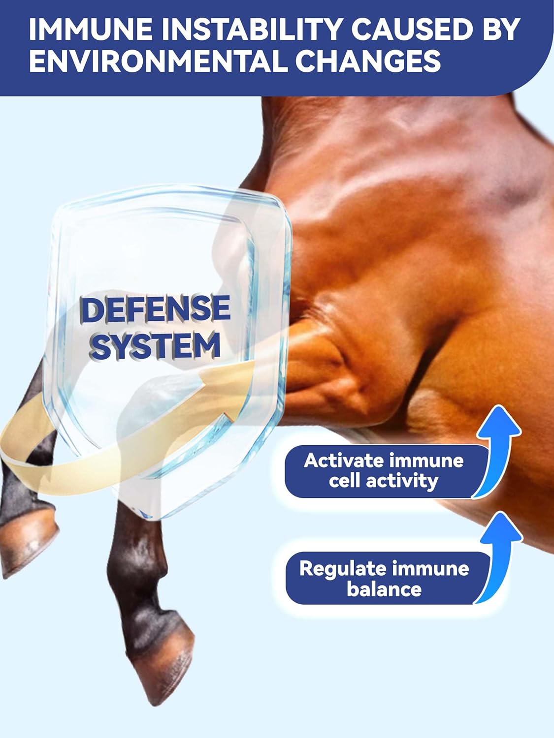 100-Day Supply Equine Body Repair Protein Supplement-Amino Acids Speed up Muscle Recovery After Exercise Promote Healthier Joints