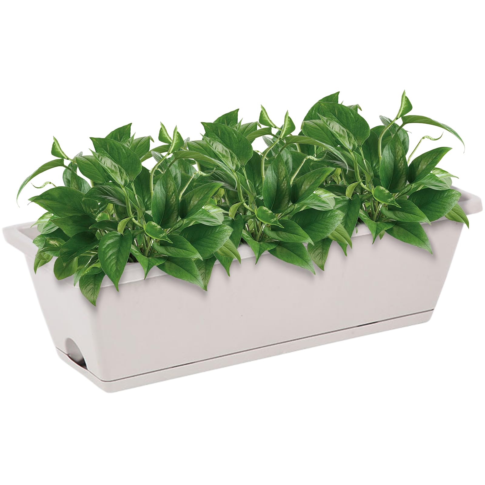 Hbbgdiy 19.7x7.5x5.9 Inch Rectangular Window Box Planter with Drainage Tray, PP Reinforced Ventilated Planter Box for Windowsill, Garden, Balcony, Light Grey
