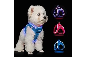 Light Up Dog Harness for Enhanced Night Visibility