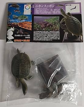 スッポンモドキ フィギュア ネイチャーテクニカラー スッポンモドキ フィギュア ネイチャーテクニカラー