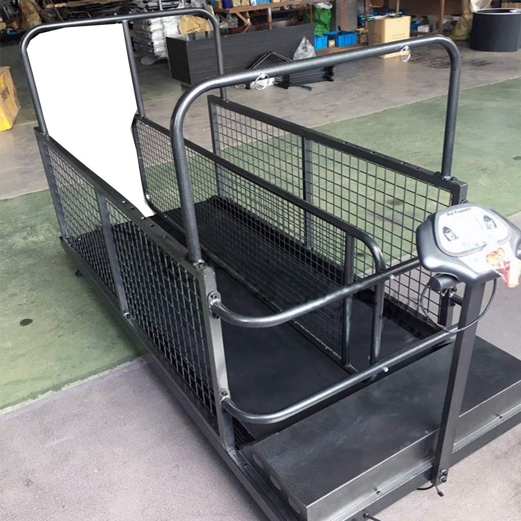 Pet Treadmill Animal Treadmill Dog Household Can 23 Simultaneous