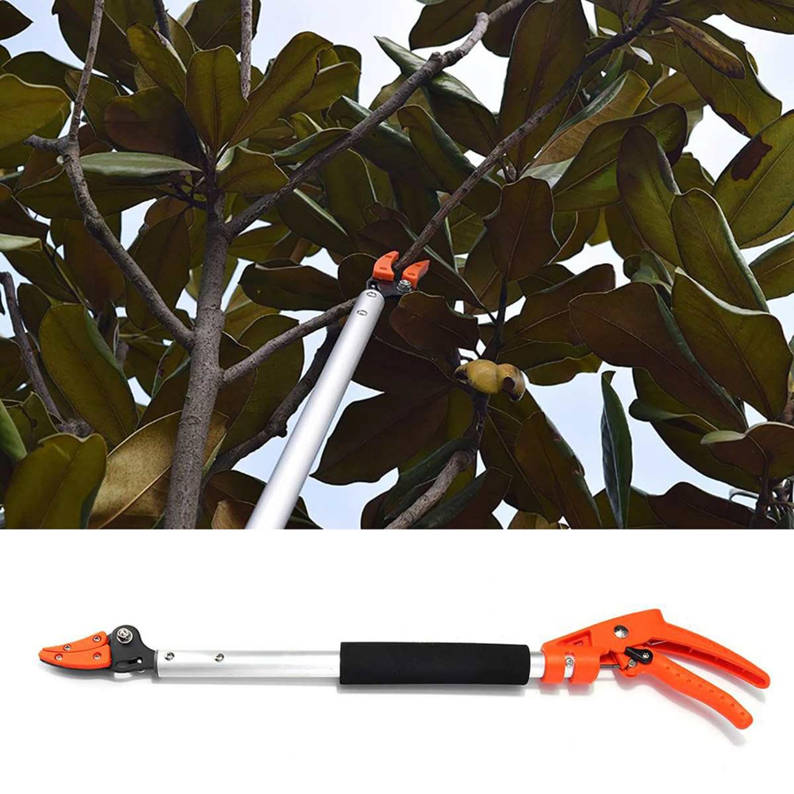 1/2 Pieza Podadora De Árboles De Largo Alcance - Cortar Y Sujetar Podadora De Árboles | Tijeras De Podar Para Árboles De Jardín | Podadora Para Jardín Tijeras | Cortador De Ramas De Árbo Para Recoger