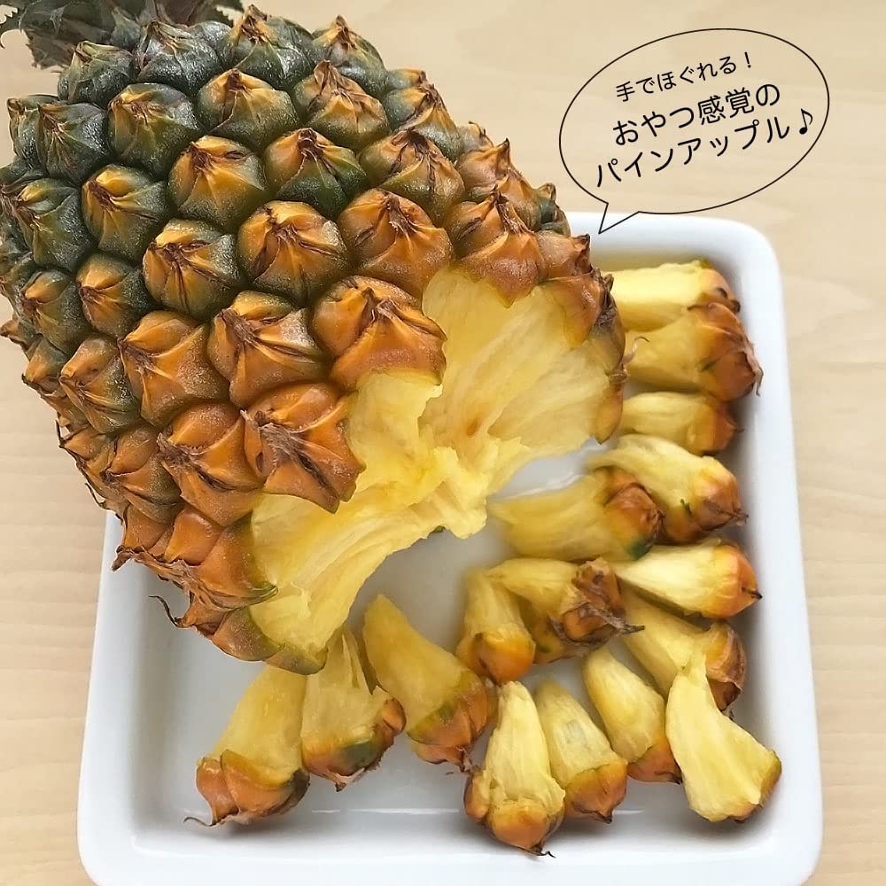 銀次郎！Nパイン2玉、Nパインの苗10本、スナックパインの苗10本 Amazon | パイナップル専用赤土10kgとボゴール(スナックパイン苗