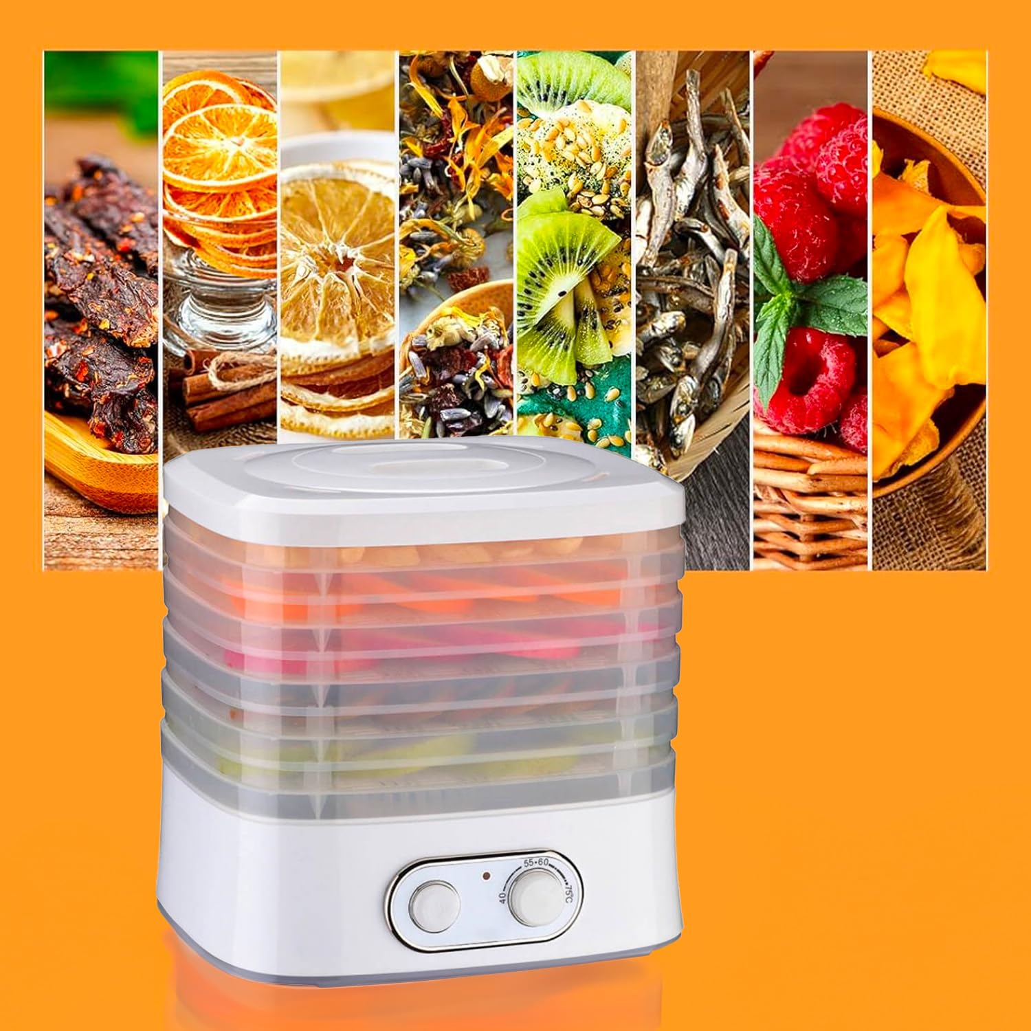 Avilia Odwadniacz elektryczny z 5 tacami - suszarka do żywności z regulacją temperatury 40-75°, do owoców, grzybów i ziół aromatycznych, 240 W