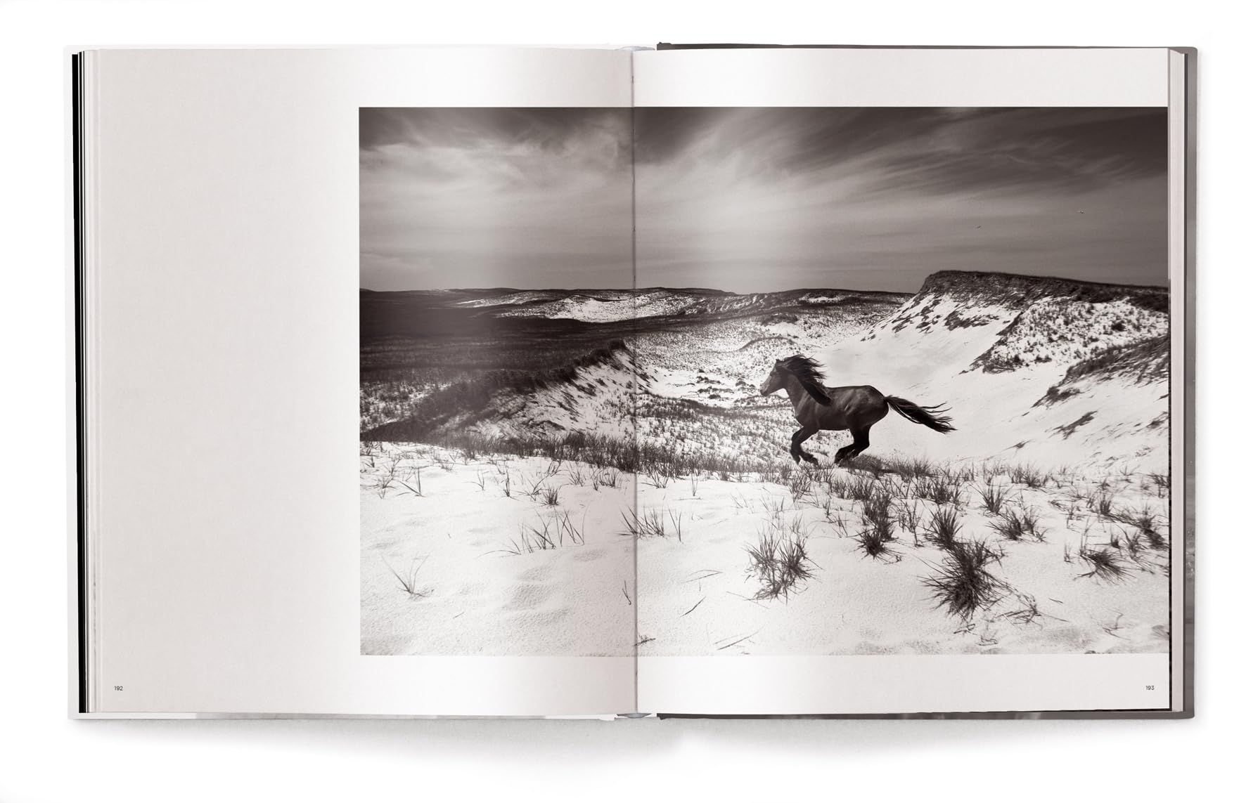 Untamed Spirits: Horses from Around the World /anglais/allemand