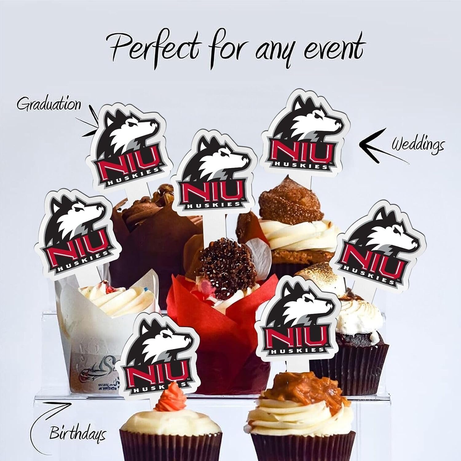Northern Illinois University Cupcake Toppers, Officially Licensed NIU Huskies Cupcake Picks, Solid Plastic by VictoryStore (25)