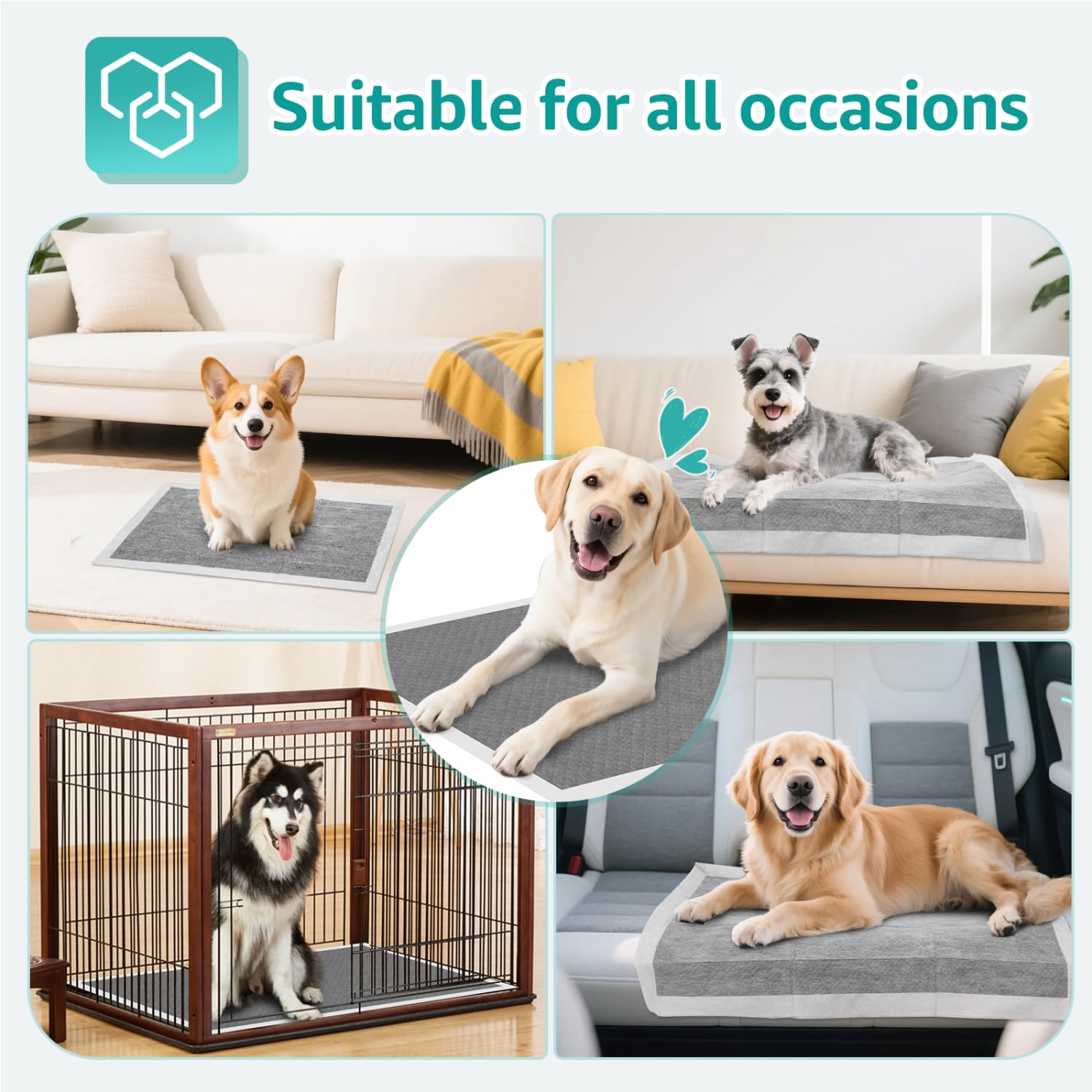 Nobleza Empapadores Perros 60x60cm (100 Unid), Carbón Activado para Control de Olores, Absorbe al Instante ¡Secado Rápido! Almohadillas de Antiderrames de Perros y Cachorros