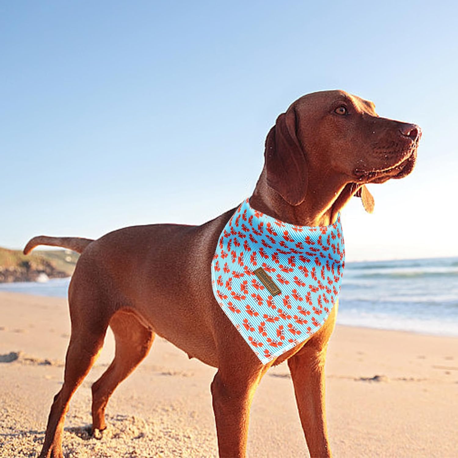 Lionheart Glory Blue Stripe Bandana 1 Pack - Washable Soft Scarf, Square Adjustable for Small Medium Dogs image 5