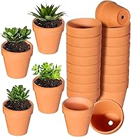 22 Pack 3 Inch Terracotta Clay Pots with Drainage Holes - Ideal for Succulents, Cacti, DIY Plants, Indoor Outdoor Decor & Wedding Favors