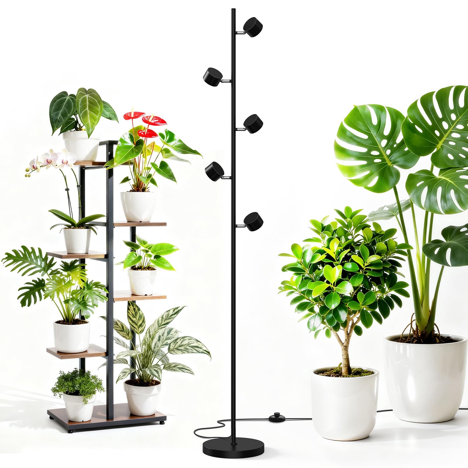 Amazon.com: Barrina T1X5 Floor Grow Lights for Indoor Plants, 50W