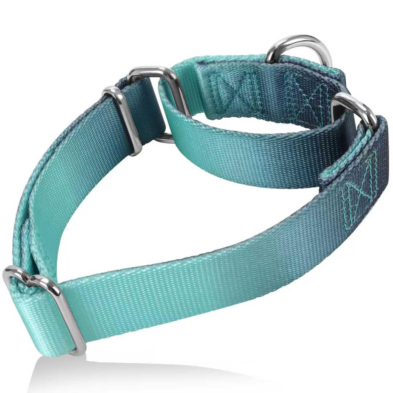 Axdvk Martingale Dog Collar Colorful Gradient Fashionable - Anti-Escape Soft Durable Pets Collar for Walking Training Outdoor Daily Use -Small, Teal Gradient — image 1