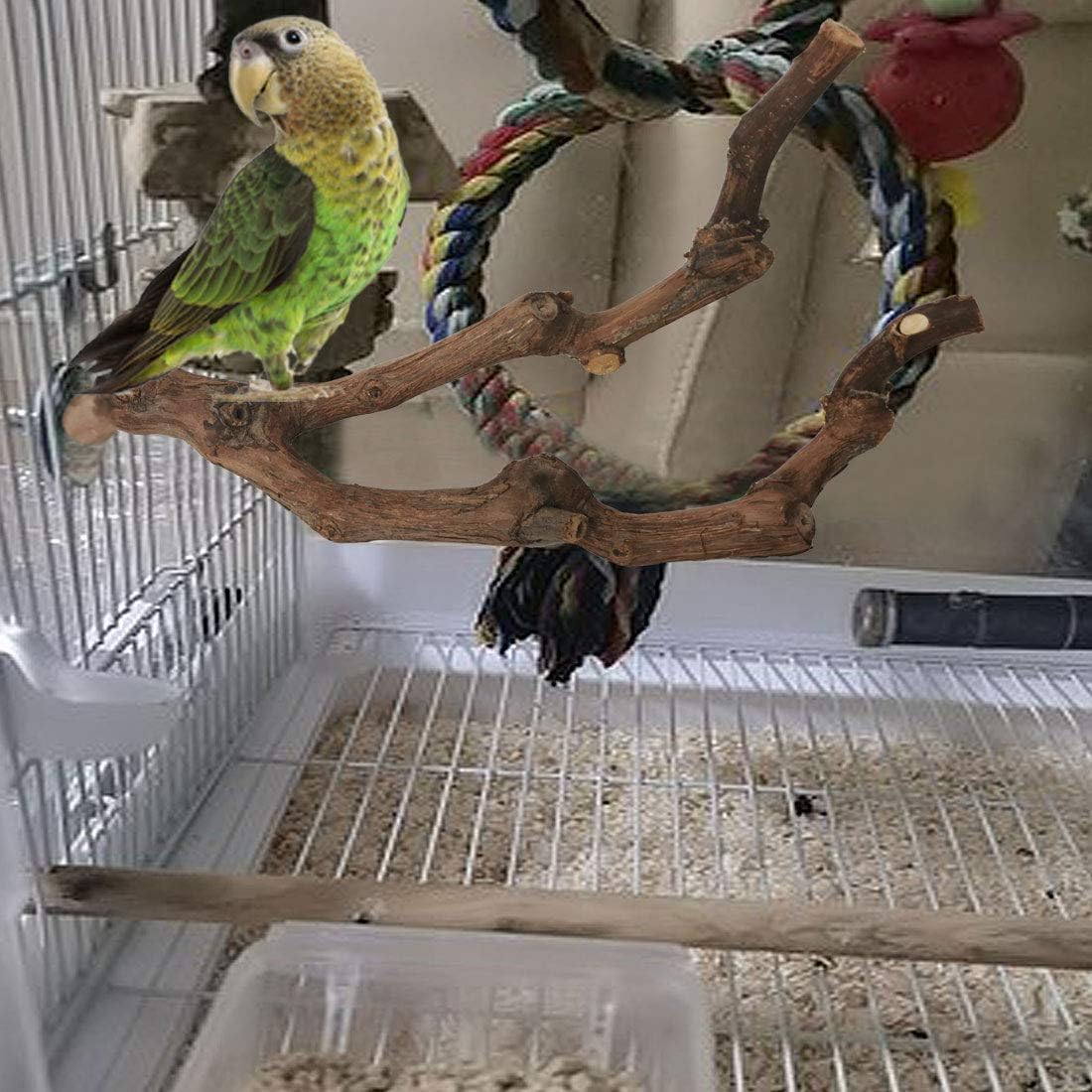 kathson Natural Parrot Perch Bird Stand Pole Wild Grape Stick Paw Grinding Fork Parakeet Climbing Standing Branches Toy Chewable Cage Accessories for Small Budgies Cockatiels Lovebirds image 4