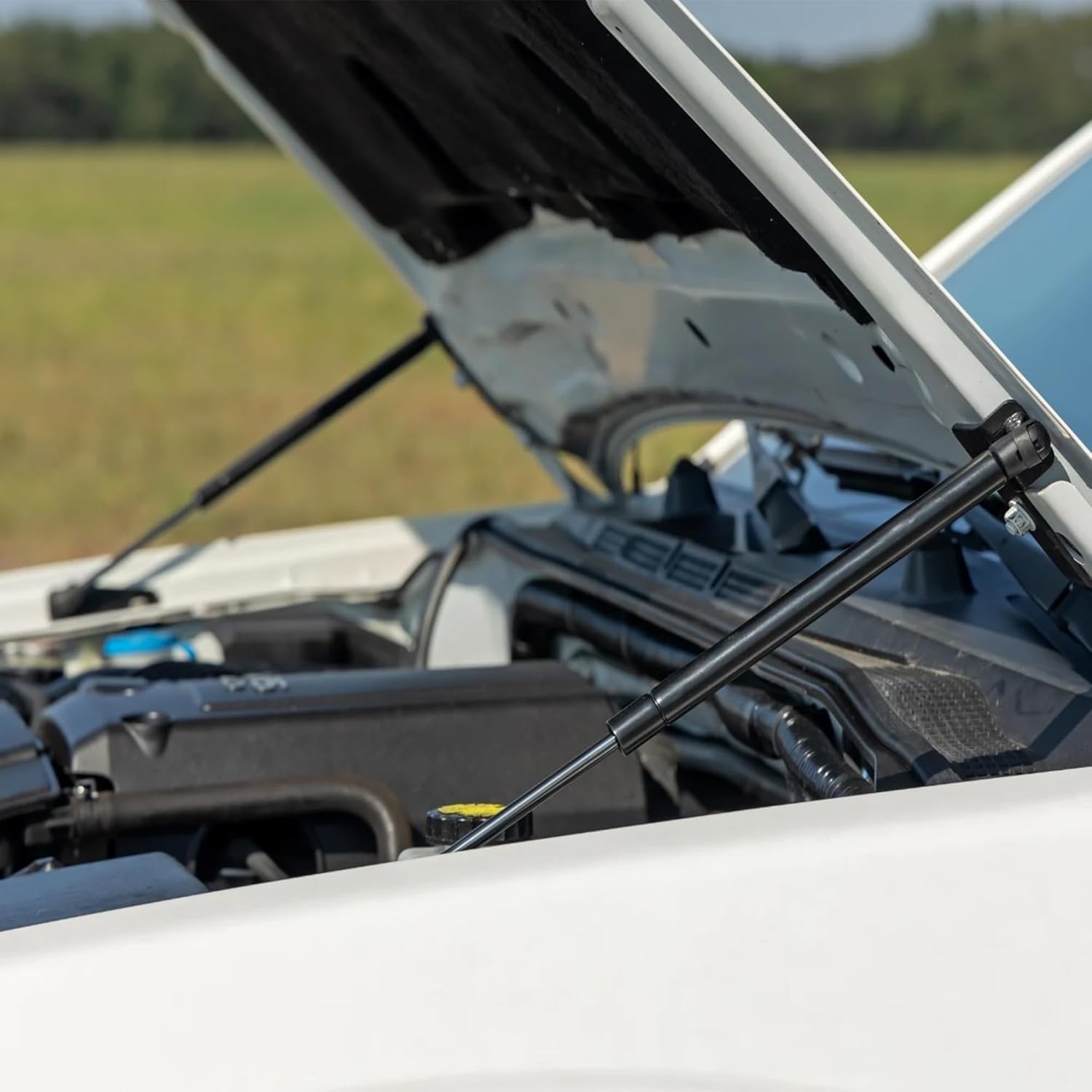 Rough Country Hydraulic Hood Assist for Nissan Frontier (2005-2021) - Hands-Free Lift, Easy Bolt-on Hood Struts (Pair)