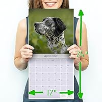 Vista 1130 de Razas de Perros 2017