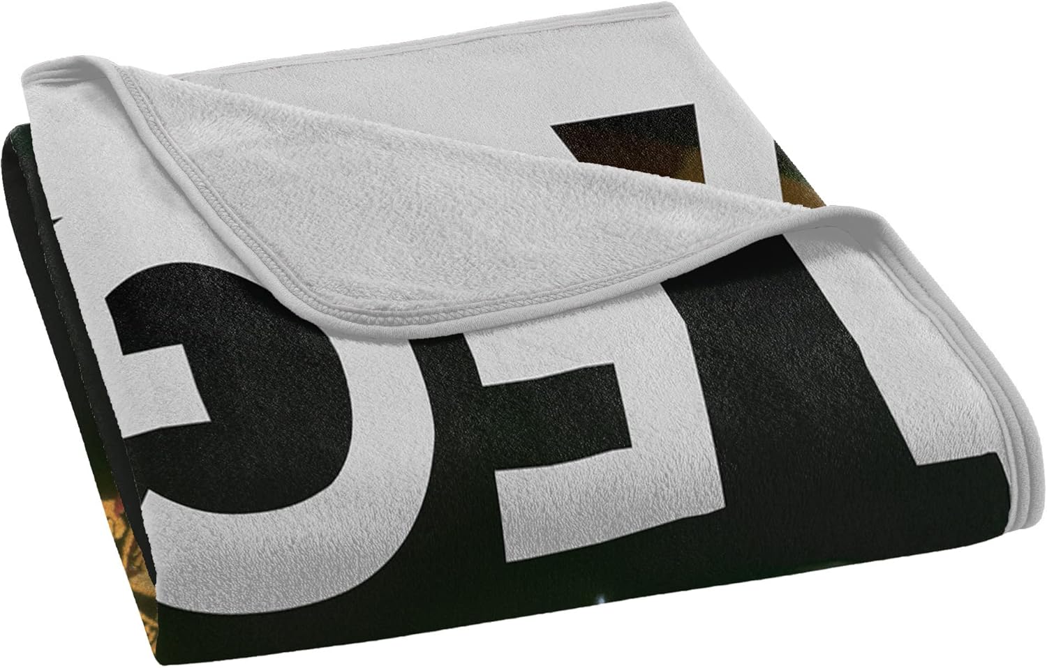 Northwest Harry Potter Micro Raschel Throw Blanket, 46" x 60", Legend - Image 2