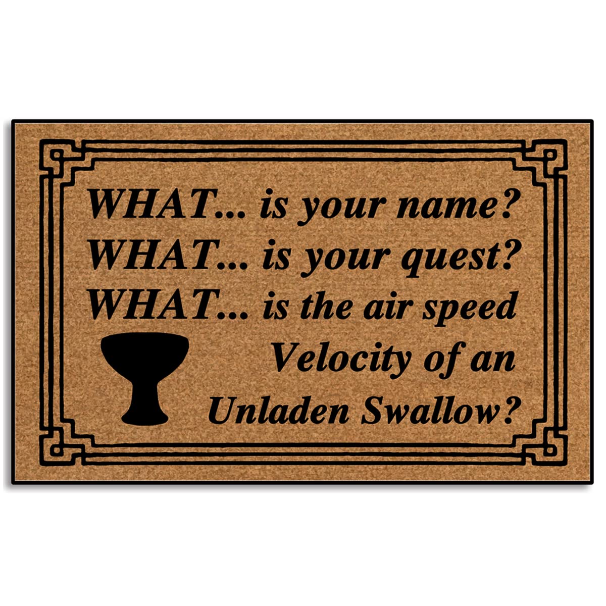 Wulidrom What is Your Name Holy Grail Doormats for Outdoor Entrance Home Rugs Indoor, Funny Monogrammed Doormat Entryway Entry Rug Non Slip Rubber