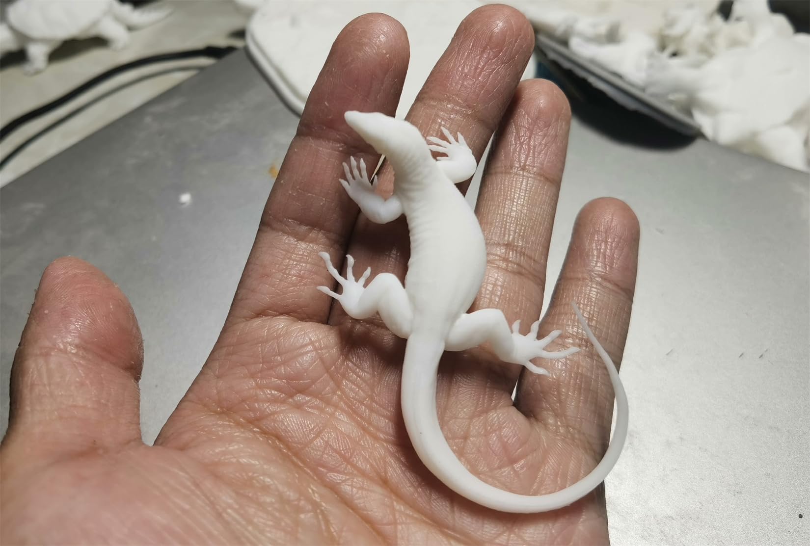 Amazon | BACALYSO | トカゲ フィギュア 7.5-18CM級 爬虫類 有鱗