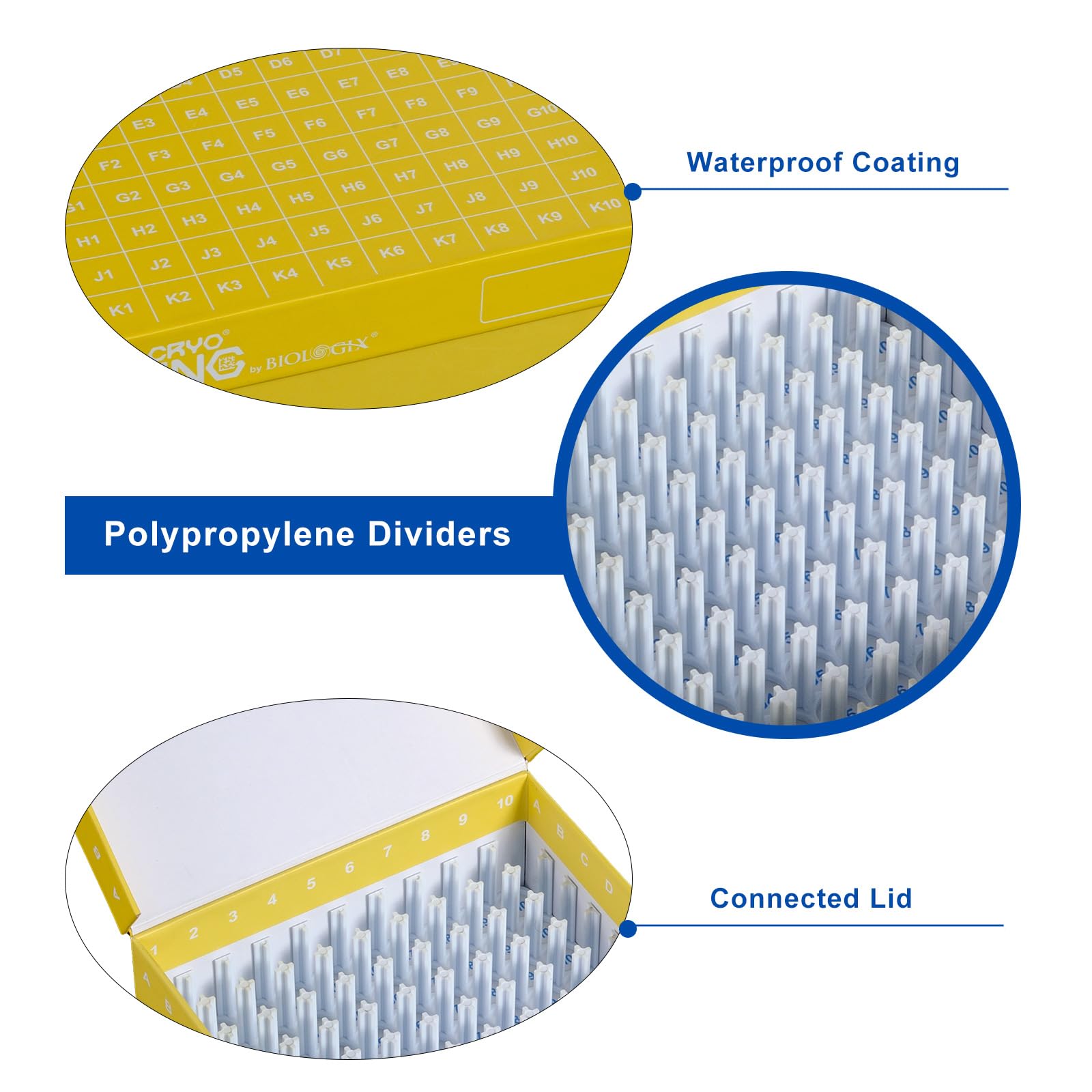 Kryobox Lot de 5 tubes à échantillons avec codage, récipients pour tubes à microcentrifugeuse, boîtes de rangement cryogéniques pour microtubes et appareils cryogéniques de 1,5 à 2,0 ml, 100