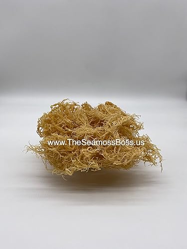 Miniatura 4 de Musgo marino irlandés  6 onzas de musgo marino orgánico  Ideal para hacer más de 60 onzas de gel de musgo marino  Musgo marino dorado secado al sol