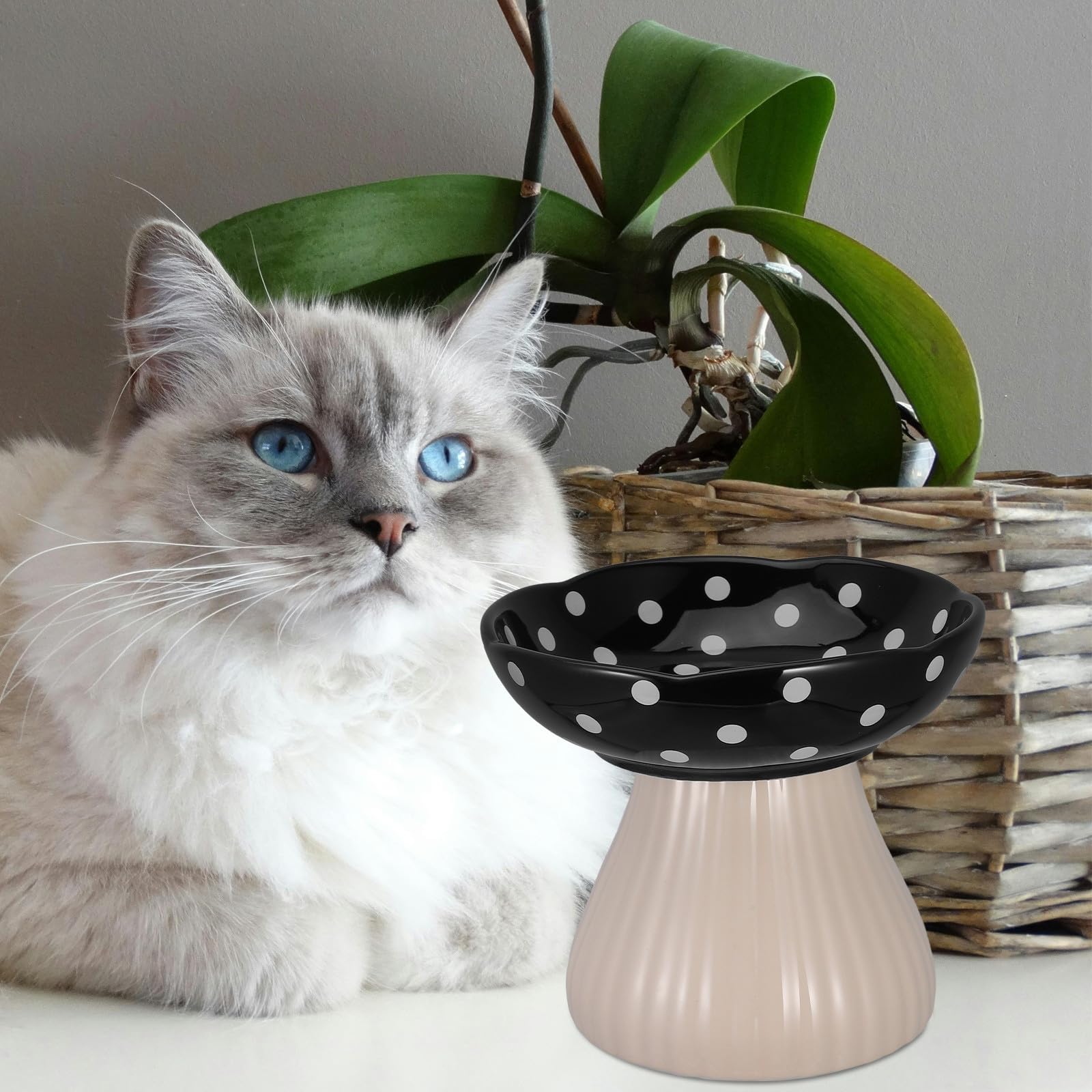 Cuenco Negro de Hongo Elevado Forma Cerámica para Gatos