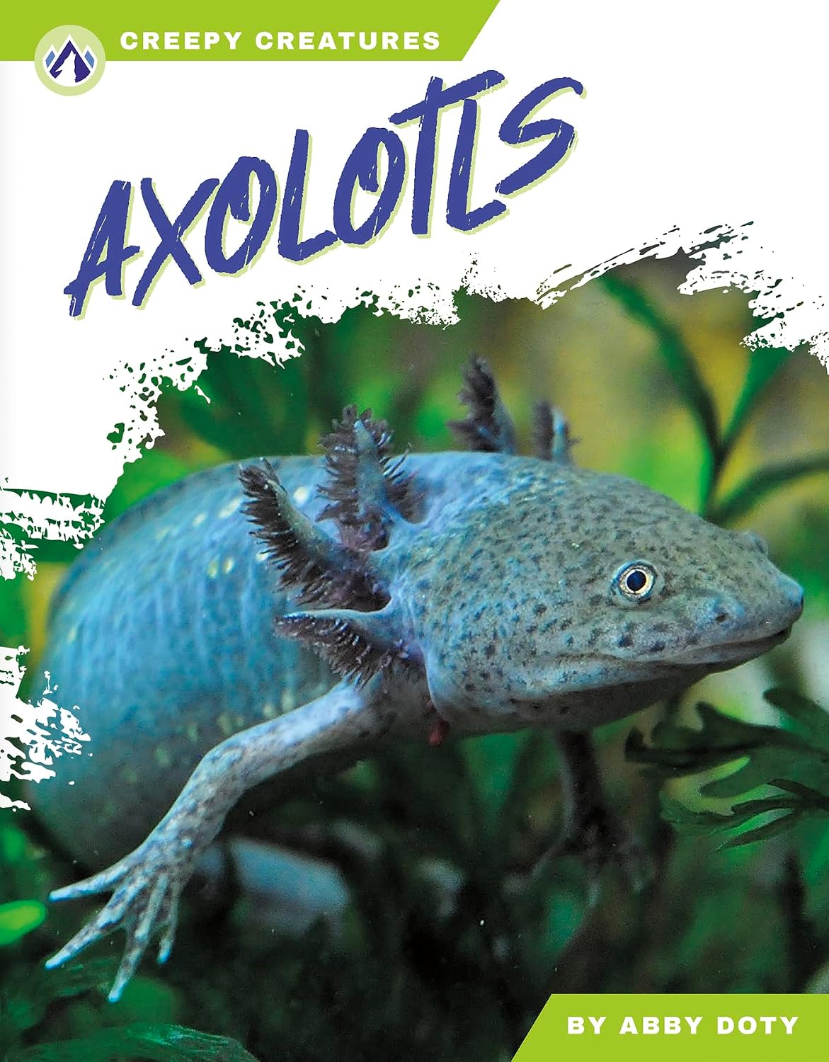 Axolotls (Creepy Creatures)      Library Binding – January 1, 2025
