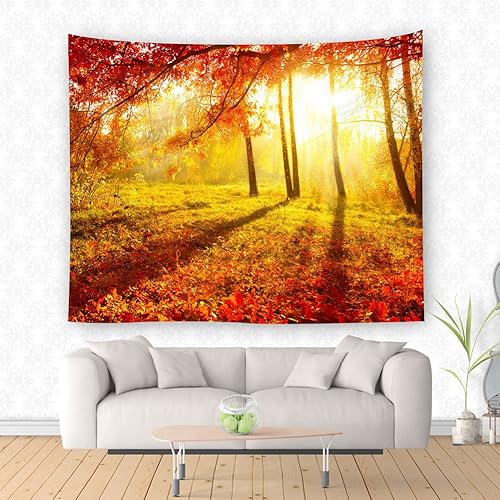 Miniatura 6 de KABAKE Tapiz de paisaje, temporada de otoño, árboles de otoño con niebla matutina en el bosque, arte relajante, foto de la naturaleza, para colgar