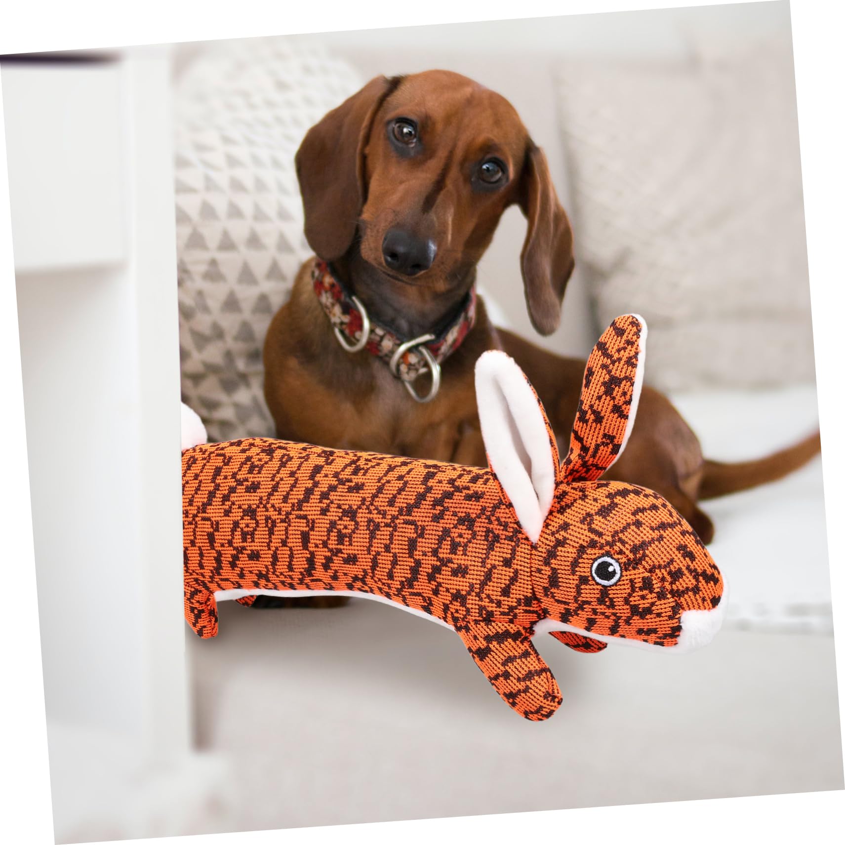 FRCOLOR 3 Stücke Haustier Quietschendes Kauspielzeug Design Hund Quietschendes Spielzeug Für Spielen Pet Supplies Orange Hund Kauspielzeug