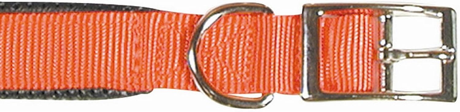 Classic 16" X 5/8" Red Dog Collar