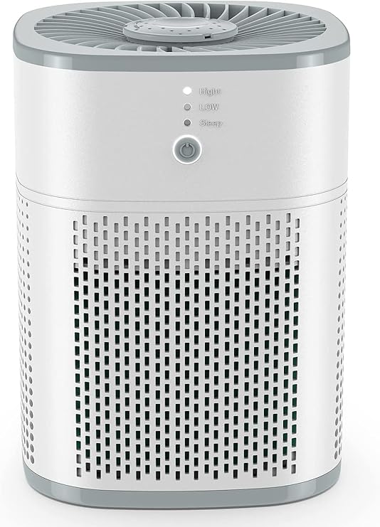 Loytio Air Purifiers for Bedroom, H13 True HEPA Filter for Home large