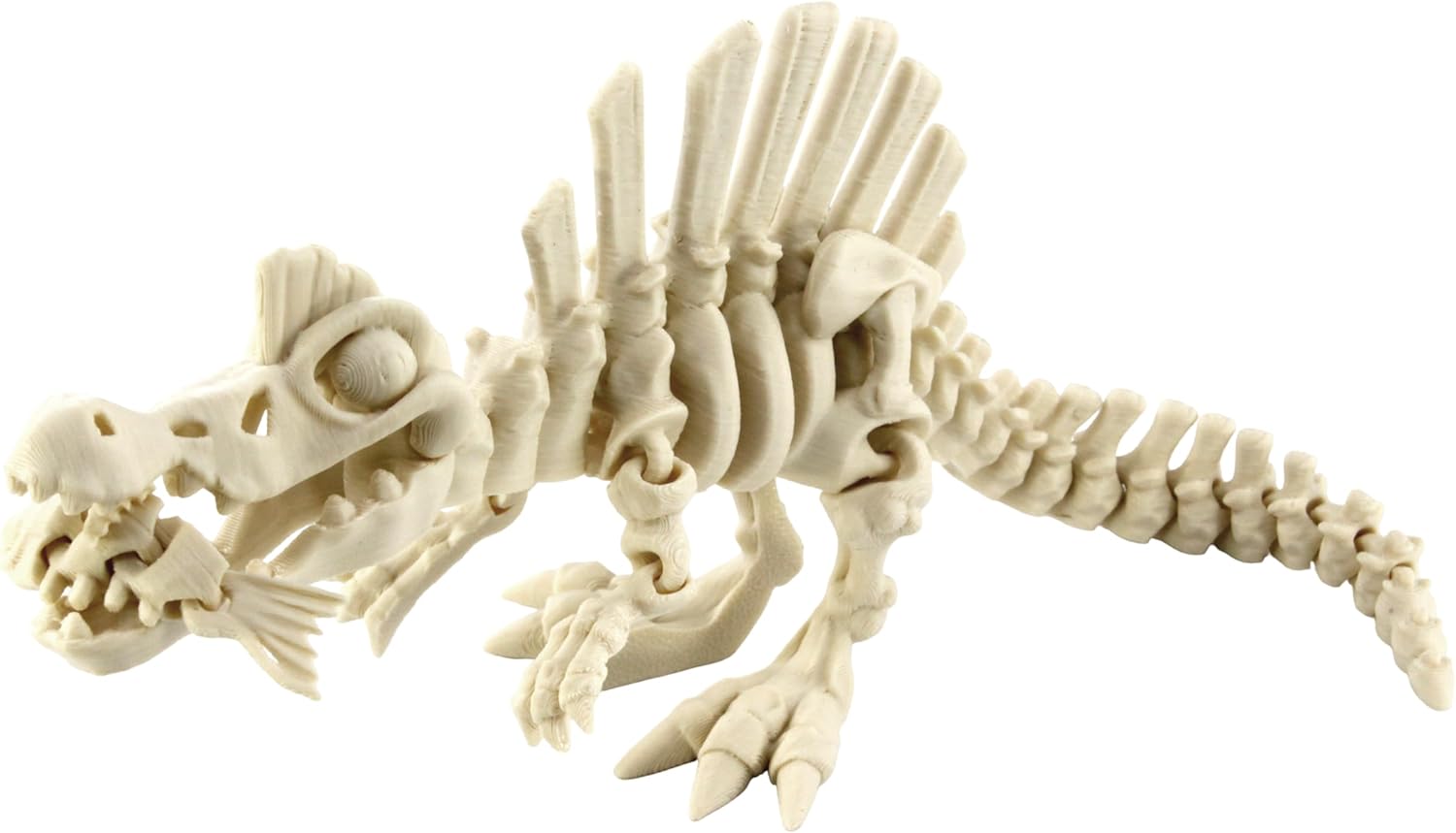 PowerTRC 3D Printed Skeleton Spinosaurus – Prehistoric Collectible Articulating Dinosaur 3D Figurine Desk Decoration for Teens and Adults, Made in USA
