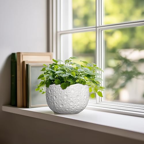 Miniatura 3 de Macetas de cerámica para plantas, maceta de 6 pulgadas para interiores y exteriores, macetas decorativas para orquídeas con orificio de drenaje,