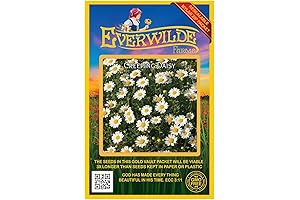 Everwilde Farms Creeping Daisy Wildflower Seeds: A Golden Oasis for Your Garden