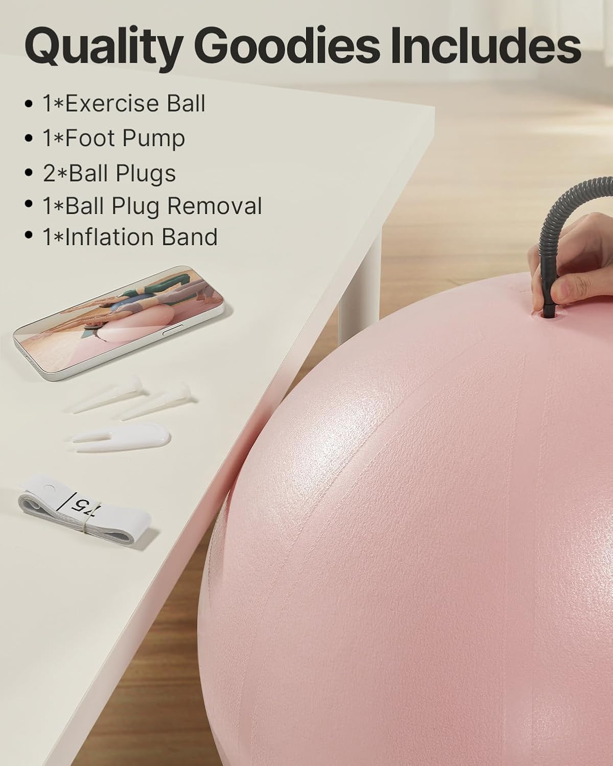 YOTTOY Anti-Burst Exercise Ball for Working Out, Yoga & Pregnancy, Extra Thick Workout Ball for Physical Therapy & Fitness